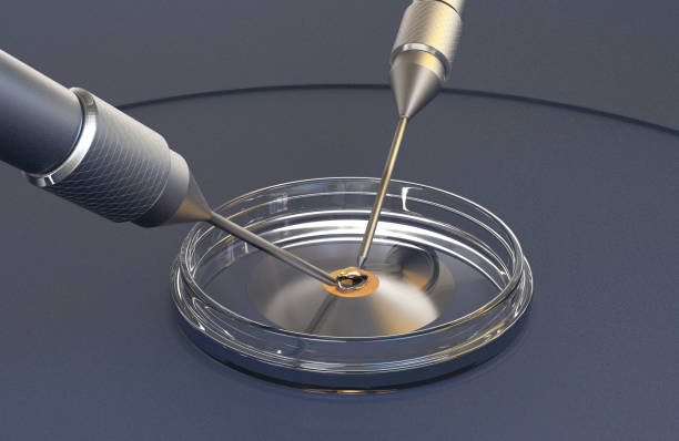 2025年想在泰国做试管婴儿，选哪家医院好