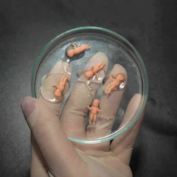 深入了解：去泰国做试管婴儿的优质医院