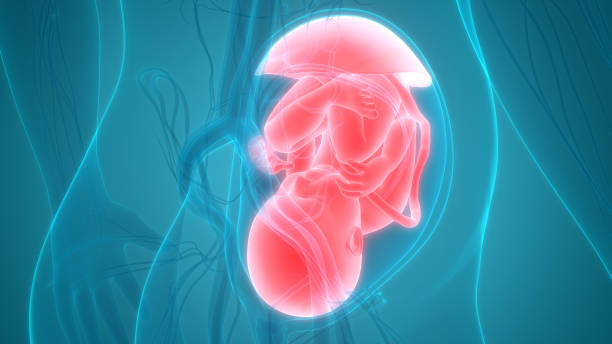 2025年了解厦门泰国试管婴儿医院排名很重要