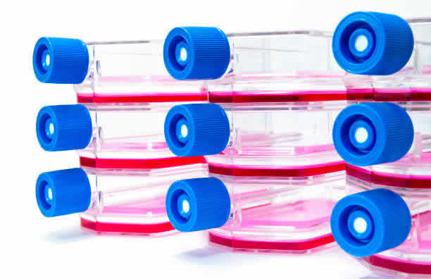 揭秘2025年泰国试管婴儿三大医院是哪几家 揭秘2025年泰国试管婴儿三大医院是哪几家