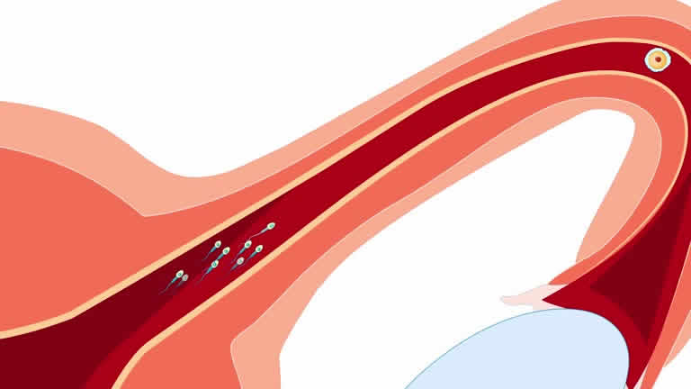 2025年赴泰国旅游期间找试管婴儿医院攻略
