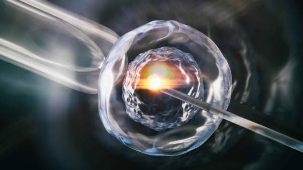 权威揭秘!泰国做试管婴儿最厉害的医院是哪家 权威揭秘!泰国做试管婴儿最厉害的医院是哪家