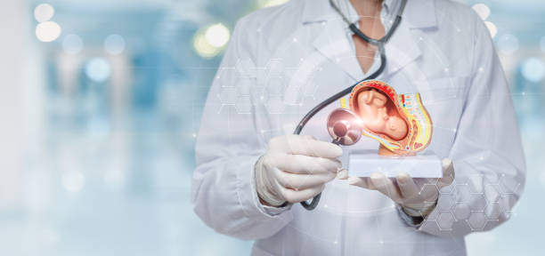 泰国三美泰医院试管婴儿服务大揭秘 泰国三美泰医院试管婴儿服务大揭秘