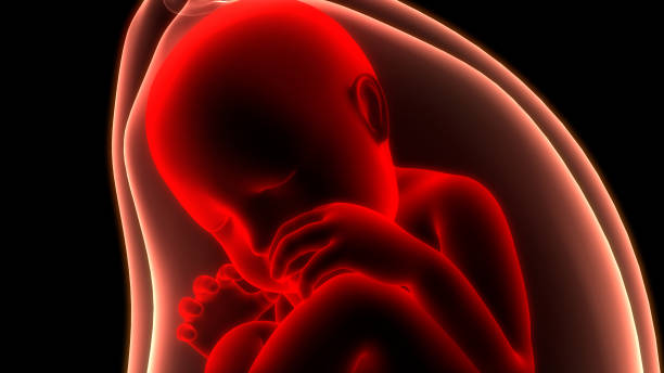 2025年泰国试管婴儿选哪家医院？看这里！