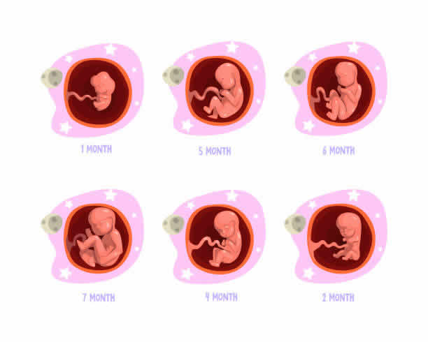 泰国做试管婴儿，选权威医院看这里