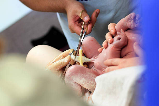 2024必看：泰国试管婴儿找医院全流程