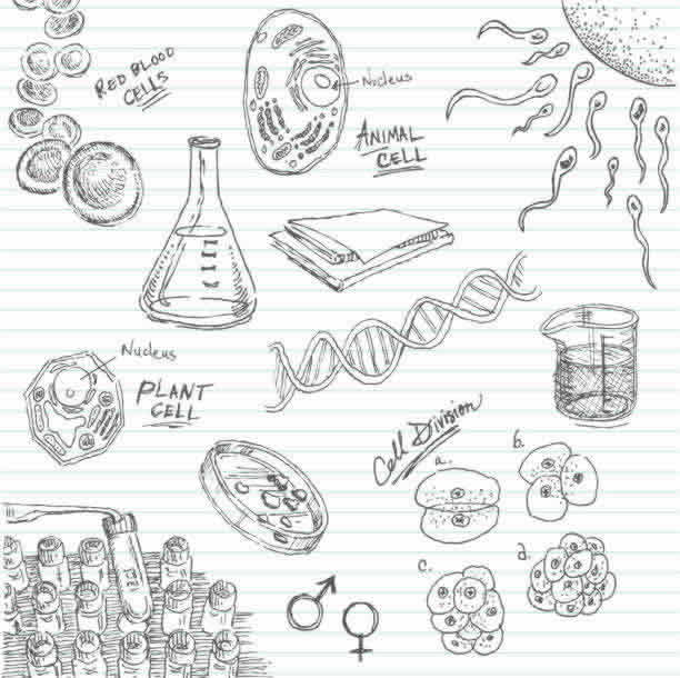 深度剖析泰国试管婴儿医院直营品牌 深度剖析泰国试管婴儿医院直营品牌