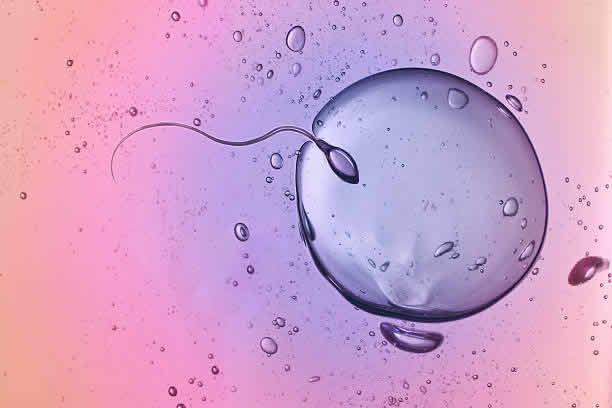 2025年泰国第三代试管婴儿生一对价格大解析