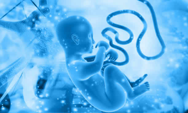 泰国哪些医院做试管婴儿效果更佳? 泰国哪些医院做试管婴儿效果更佳?