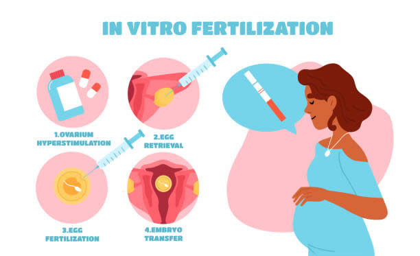 泰国专业的试管婴儿医院有哪些