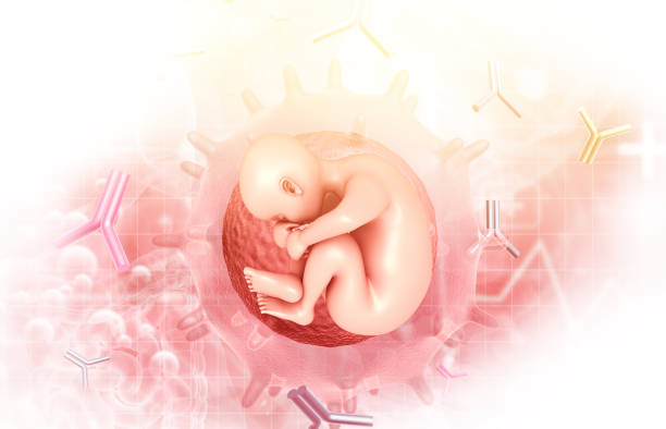 2025泰国试管婴儿医院哪家强？