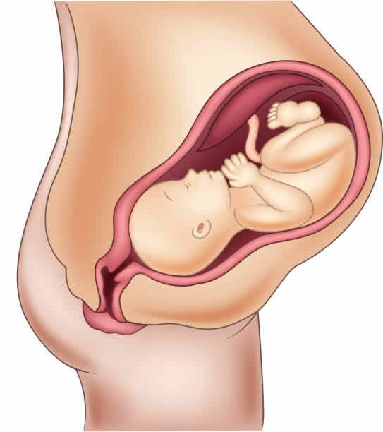 泰国试管婴儿医院大揭秘 泰国试管婴儿医院大揭秘