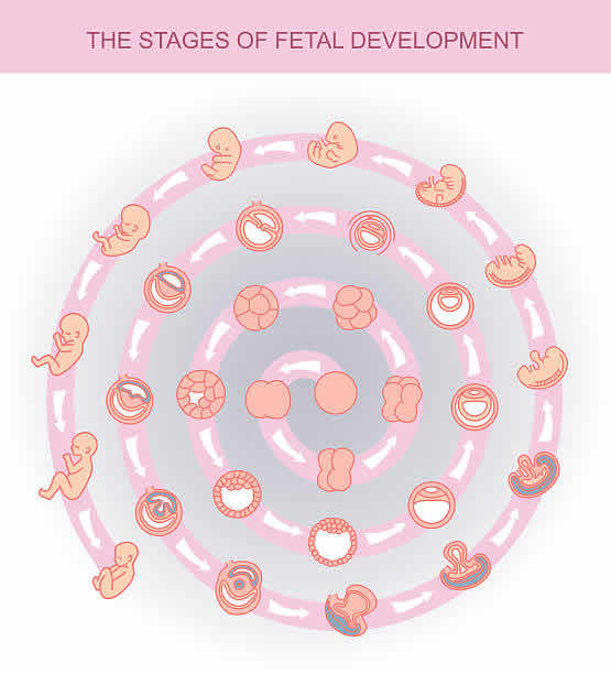 泰国试管婴儿医院授权服务公司的行业地位 泰国试管婴儿医院授权服务公司的行业地位